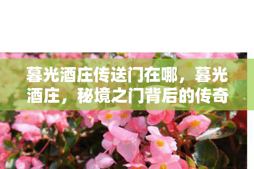 暮光酒庄传送门在哪,暮光酒庄,秘境之门背后的传奇故事 暮光酒庄传送门在哪,暮光酒庄,秘境之门背后的传奇故事