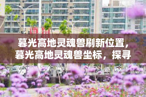 暮光高地灵魂兽刷新位置,暮光高地灵魂兽坐标,探寻神秘世界的奇幻之旅 暮光高地灵魂兽刷新位置,暮光高地灵魂兽坐标,探寻神秘世界的奇幻之旅