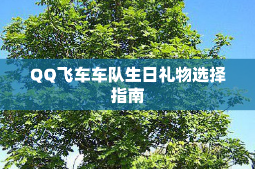 QQ飞车车队生日礼物选择指南 QQ飞车车队生日礼物选择指南