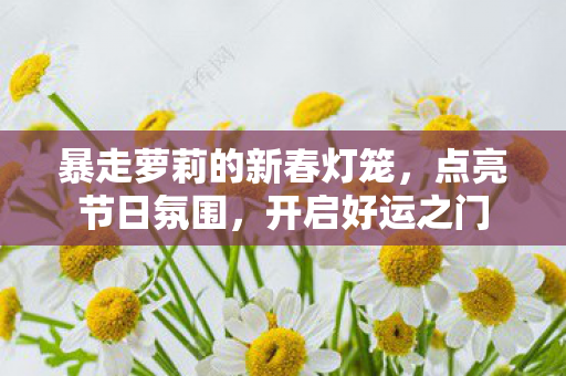 暴走萝莉的新春灯笼,点亮节日氛围,开启好运之门 暴走萝莉的新春灯笼,点亮节日氛围,开启好运之门