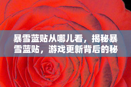 暴雪蓝贴从哪儿看，揭秘暴雪蓝贴，游戏更新背后的秘密故事