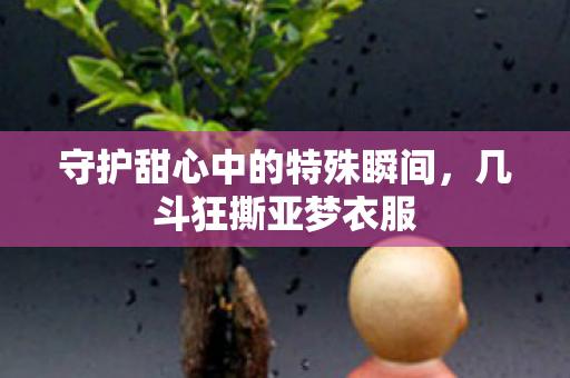 守护甜心中的特殊瞬间,几斗狂撕亚梦衣服 守护甜心中的特殊瞬间,几斗狂撕亚梦衣服