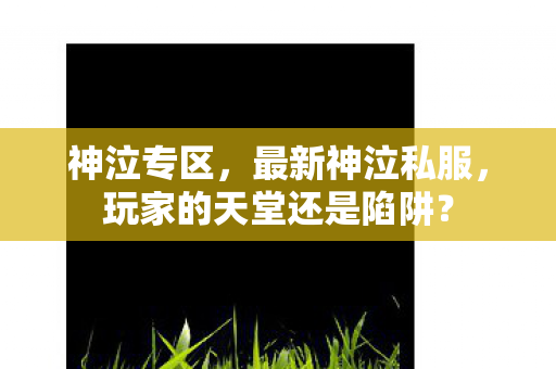 神泣专区,最新神泣私服,玩家的天堂还是陷阱? 神泣专区,最新神泣私服,玩家的天堂还是陷阱?