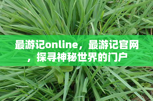 最游记online,最游记官网,探寻神秘世界的门户 最游记online,最游记官网,探寻神秘世界的门户