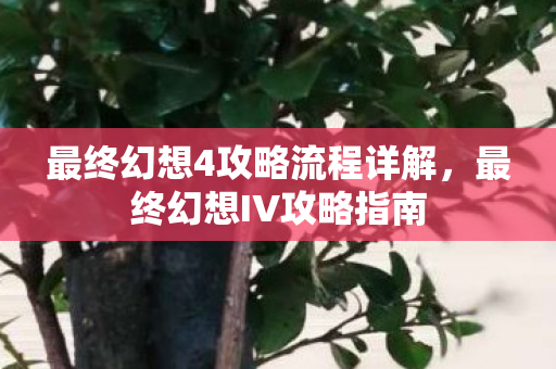 最终幻想4攻略流程详解,最终幻想IV攻略指南 最终幻想4攻略流程详解,最终幻想IV攻略指南