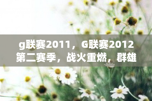 g联赛2011,G联赛2012第二赛季,战火重燃,群雄逐鹿 g联赛2011,G联赛2012第二赛季,战火重燃,群雄逐鹿