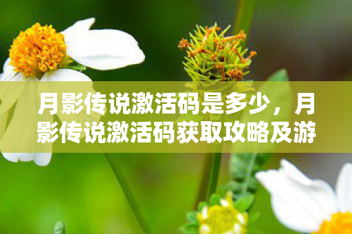 月影传说激活码是多少,月影传说激活码获取攻略及游戏评测 月影传说激活码是多少,月影传说激活码获取攻略及游戏评测