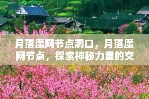 月落魔网节点洞口,月落魔网节点,探索神秘力量的交汇点 月落魔网节点洞口,月落魔网节点,探索神秘力量的交汇点