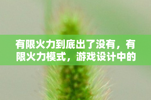 有限火力到底出了没有，有限火力模式，游戏设计中的策略与挑战