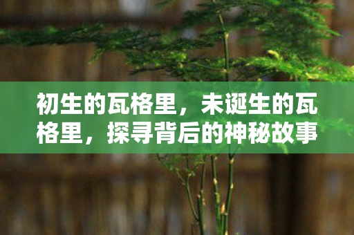 初生的瓦格里,未诞生的瓦格里,探寻背后的神秘故事 初生的瓦格里,未诞生的瓦格里,探寻背后的神秘故事