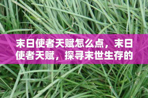末日使者天赋怎么点，末日使者天赋，探寻末世生存的无限可能