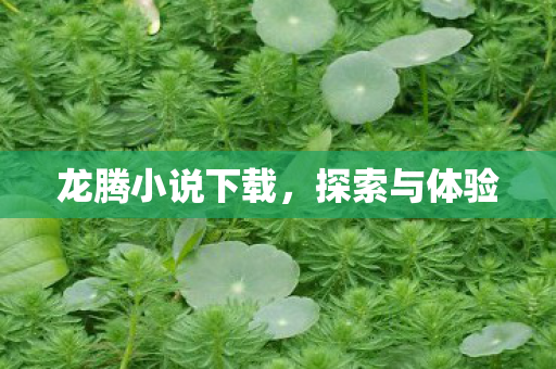 龙腾小说下载,探索与体验 龙腾小说下载,探索与体验