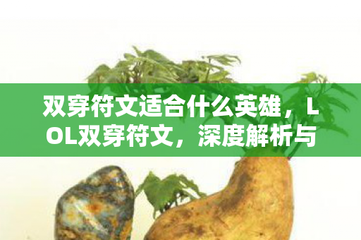 双穿符文适合什么英雄，LOL双穿符文，深度解析与实战应用指南