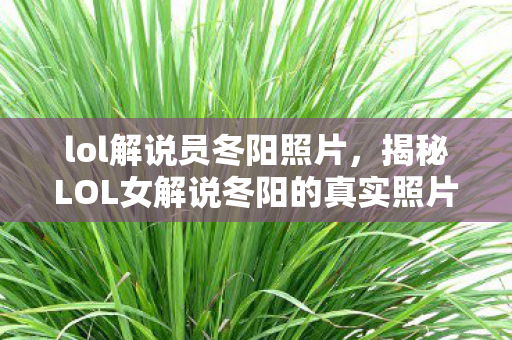 lol解说员冬阳照片，揭秘LOL女解说冬阳的真实照片与背后的故事