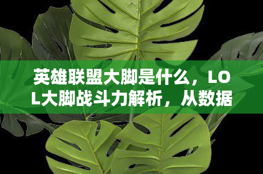 英雄联盟大脚是什么，LOL大脚战斗力解析，从数据窥探玩家的真实实力