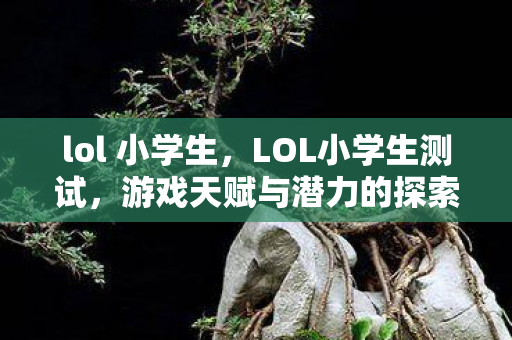 lol 小学生，LOL小学生测试，游戏天赋与潜力的探索