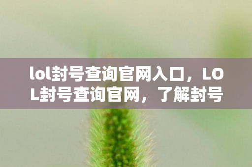 lol封号查询官网入口,LOL封号查询官网,了解封号状态与应对方法 lol封号查询官网入口,LOL封号查询官网,了解封号状态与应对方法
