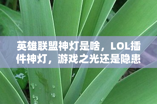 英雄联盟神灯是啥,LOL插件神灯,游戏之光还是隐患? 英雄联盟神灯是啥,LOL插件神灯,游戏之光还是隐患?