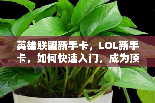 英雄联盟新手卡,LOL新手卡,如何快速入门,成为顶尖玩家? 英雄联盟新手卡,LOL新手卡,如何快速入门,成为顶尖玩家?