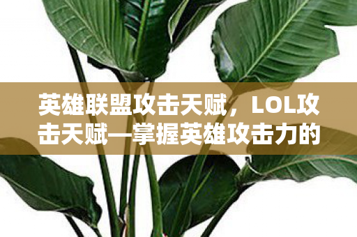 英雄联盟攻击天赋，LOL攻击天赋—掌握英雄攻击力的关键要素