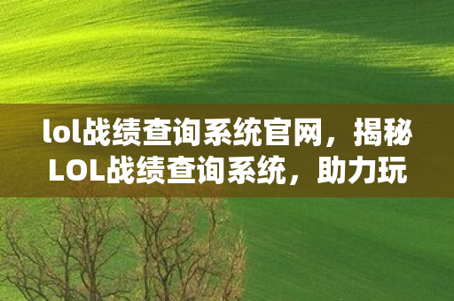 lol战绩查询系统官网,揭秘LOL战绩查询系统,助力玩家提升实力与效率 lol战绩查询系统官网,揭秘LOL战绩查询系统,助力玩家提升实力与效率