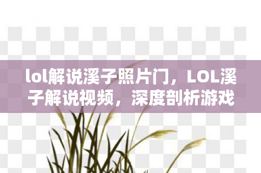 lol解说溪子照片门,LOL溪子解说视频,深度剖析游戏战术与英雄技巧 lol解说溪子照片门,LOL溪子解说视频,深度剖析游戏战术与英雄技巧