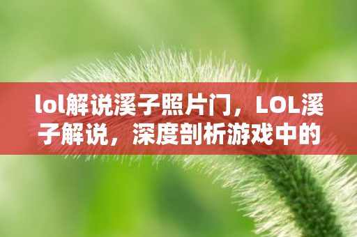 lol解说溪子照片门,LOL溪子解说,深度剖析游戏中的英雄与战术 lol解说溪子照片门,LOL溪子解说,深度剖析游戏中的英雄与战术