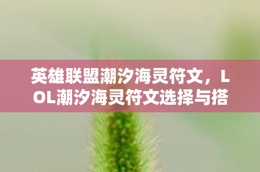 英雄联盟潮汐海灵符文,LOL潮汐海灵符文选择与搭配攻略 英雄联盟潮汐海灵符文,LOL潮汐海灵符文选择与搭配攻略