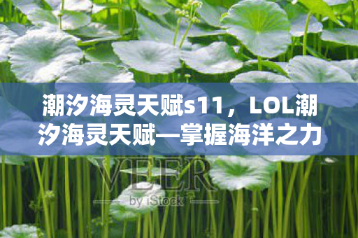 潮汐海灵天赋s11，LOL潮汐海灵天赋—掌握海洋之力的关键