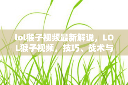 lol猴子视频最新解说,LOL猴子视频,技巧、战术与实战解析 lol猴子视频最新解说,LOL猴子视频,技巧、战术与实战解析