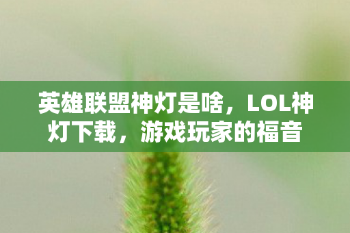 英雄联盟神灯是啥,LOL神灯下载,游戏玩家的福音 英雄联盟神灯是啥,LOL神灯下载,游戏玩家的福音