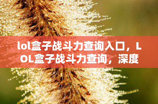 lol盒子战斗力查询入口,LOL盒子战斗力查询,深度解析与实用指南 lol盒子战斗力查询入口,LOL盒子战斗力查询,深度解析与实用指南