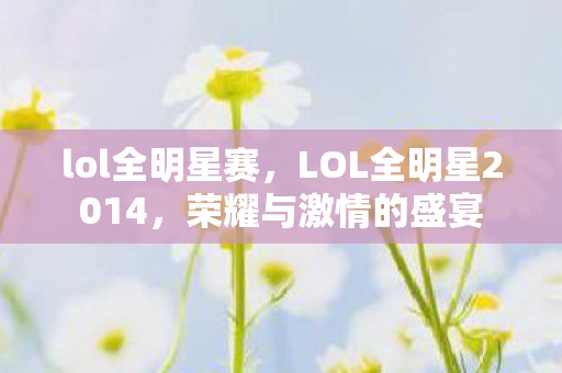 lol全明星赛,LOL全明星2014,荣耀与激情的盛宴 lol全明星赛,LOL全明星2014,荣耀与激情的盛宴