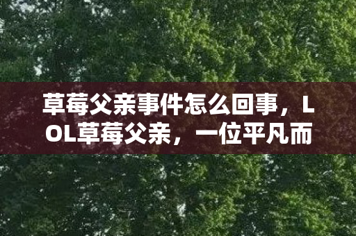 草莓父亲事件怎么回事,LOL草莓父亲,一位平凡而伟大的父爱 草莓父亲事件怎么回事,LOL草莓父亲,一位平凡而伟大的父爱