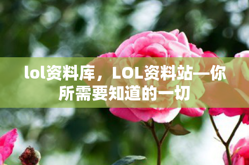 lol资料库,LOL资料站—你所需要知道的一切 lol资料库,LOL资料站—你所需要知道的一切