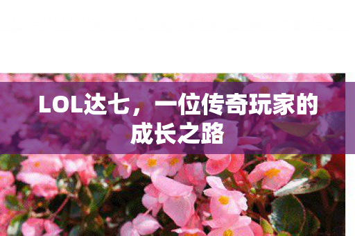 LOL达七，一位传奇玩家的成长之路