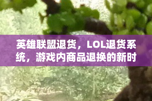 英雄联盟退货,LOL退货系统,游戏内商品退换的新时代解决方案 英雄联盟退货,LOL退货系统,游戏内商品退换的新时代解决方案