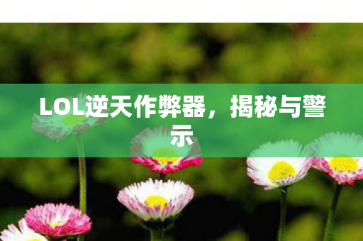 LOL逆天作弊器,揭秘与警示 LOL逆天作弊器,揭秘与警示