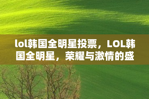 lol韩国全明星投票,LOL韩国全明星,荣耀与激情的盛宴 lol韩国全明星投票,LOL韩国全明星,荣耀与激情的盛宴