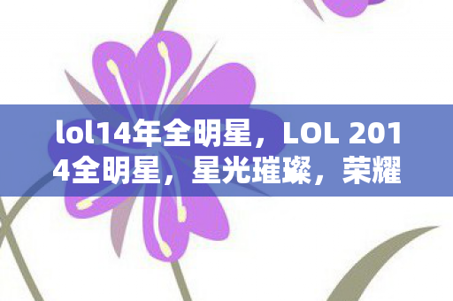 lol14年全明星，LOL 2014全明星，星光璀璨，荣耀之战