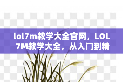 lol7m教学大全官网，LOL 7M教学大全，从入门到精通的全面指南