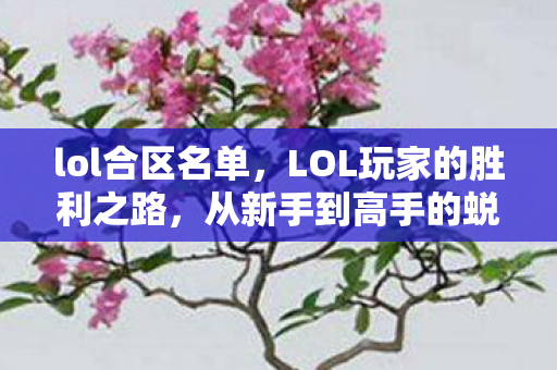 lol合区名单,LOL玩家的胜利之路,从新手到高手的蜕变之旅 lol合区名单,LOL玩家的胜利之路,从新手到高手的蜕变之旅