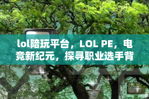 lol陪玩平台,LOL PE,电竞新纪元,探寻职业选手背后的故事 lol陪玩平台,LOL PE,电竞新纪元,探寻职业选手背后的故事