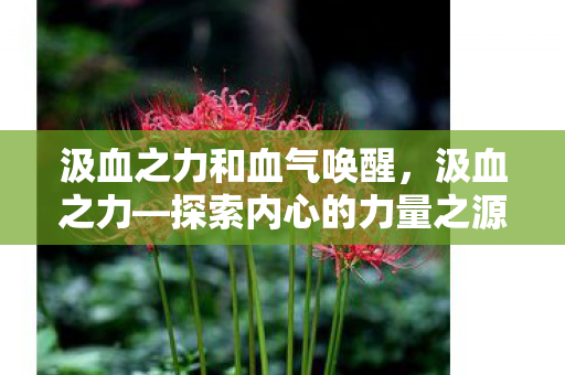 汲血之力和血气唤醒,汲血之力—探索内心的力量之源 汲血之力和血气唤醒,汲血之力—探索内心的力量之源
