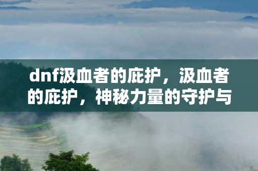 dnf汲血者的庇护,汲血者的庇护,神秘力量的守护与探寻 dnf汲血者的庇护,汲血者的庇护,神秘力量的守护与探寻