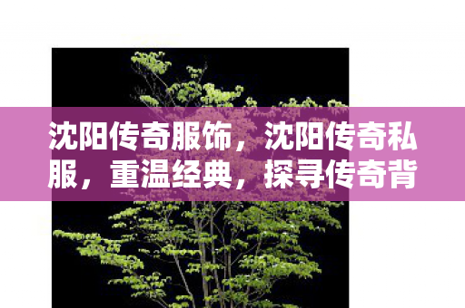 沈阳传奇服饰,沈阳传奇私服,重温经典,探寻传奇背后的故事 沈阳传奇服饰,沈阳传奇私服,重温经典,探寻传奇背后的故事