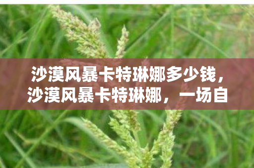 沙漠风暴卡特琳娜多少钱，沙漠风暴卡特琳娜，一场自然与人类的较量