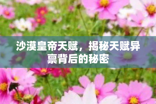 沙漠皇帝天赋，揭秘天赋异禀背后的秘密