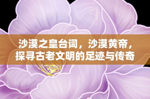 沙漠之皇台词，沙漠黄帝，探寻古老文明的足迹与传奇故事