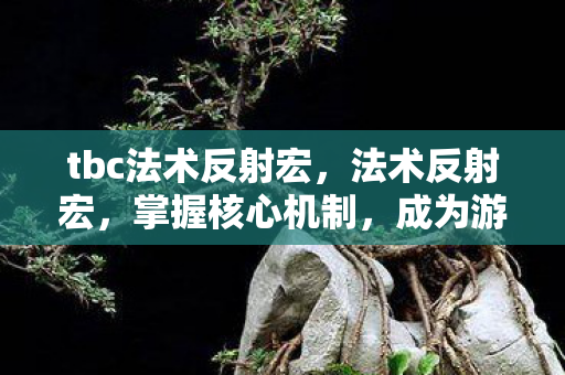 tbc法术反射宏,法术反射宏,掌握核心机制,成为游戏中的策略大师 tbc法术反射宏,法术反射宏,掌握核心机制,成为游戏中的策略大师
